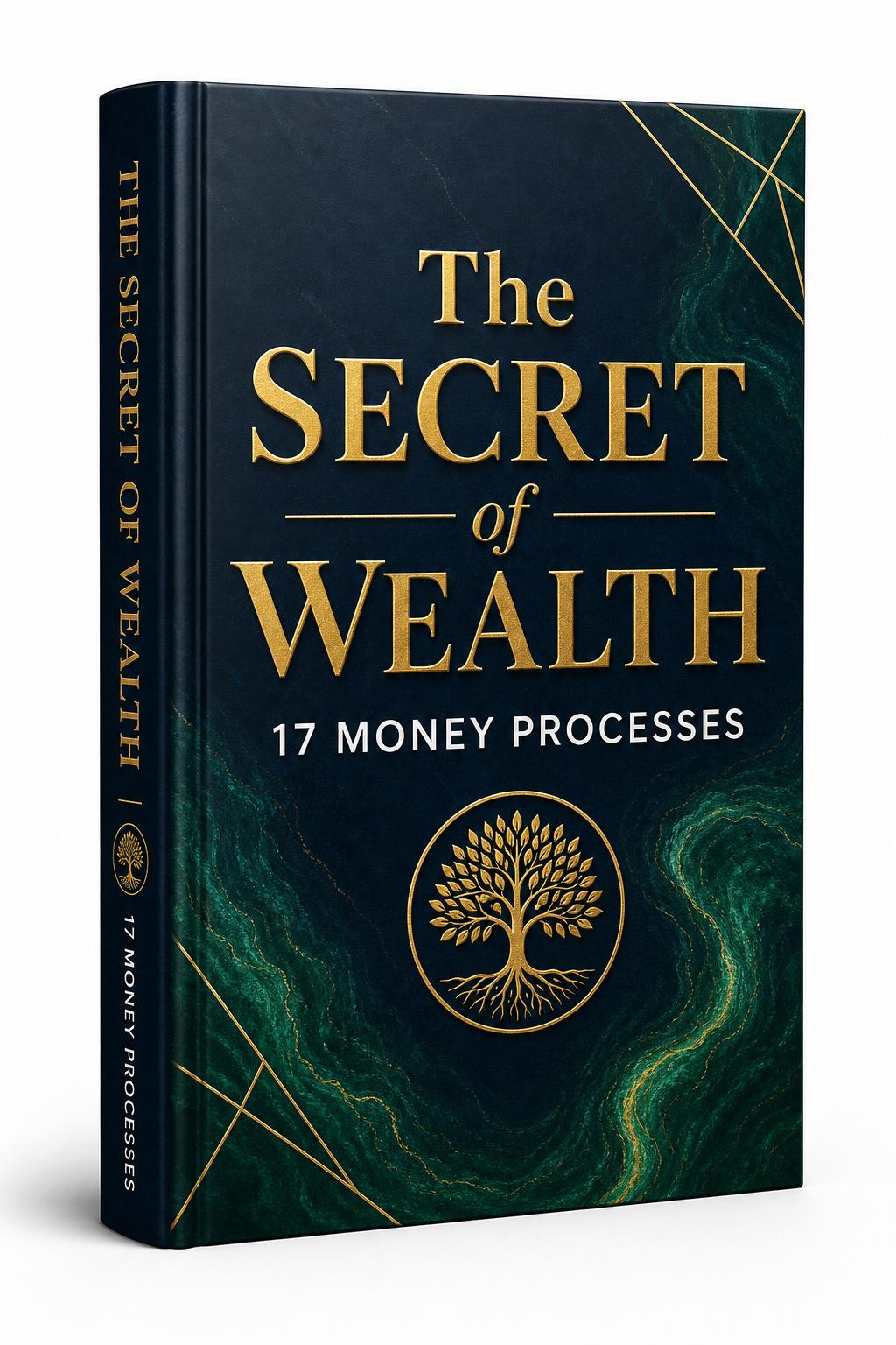 The Secret of Wealth: 17 Money Processes book cover